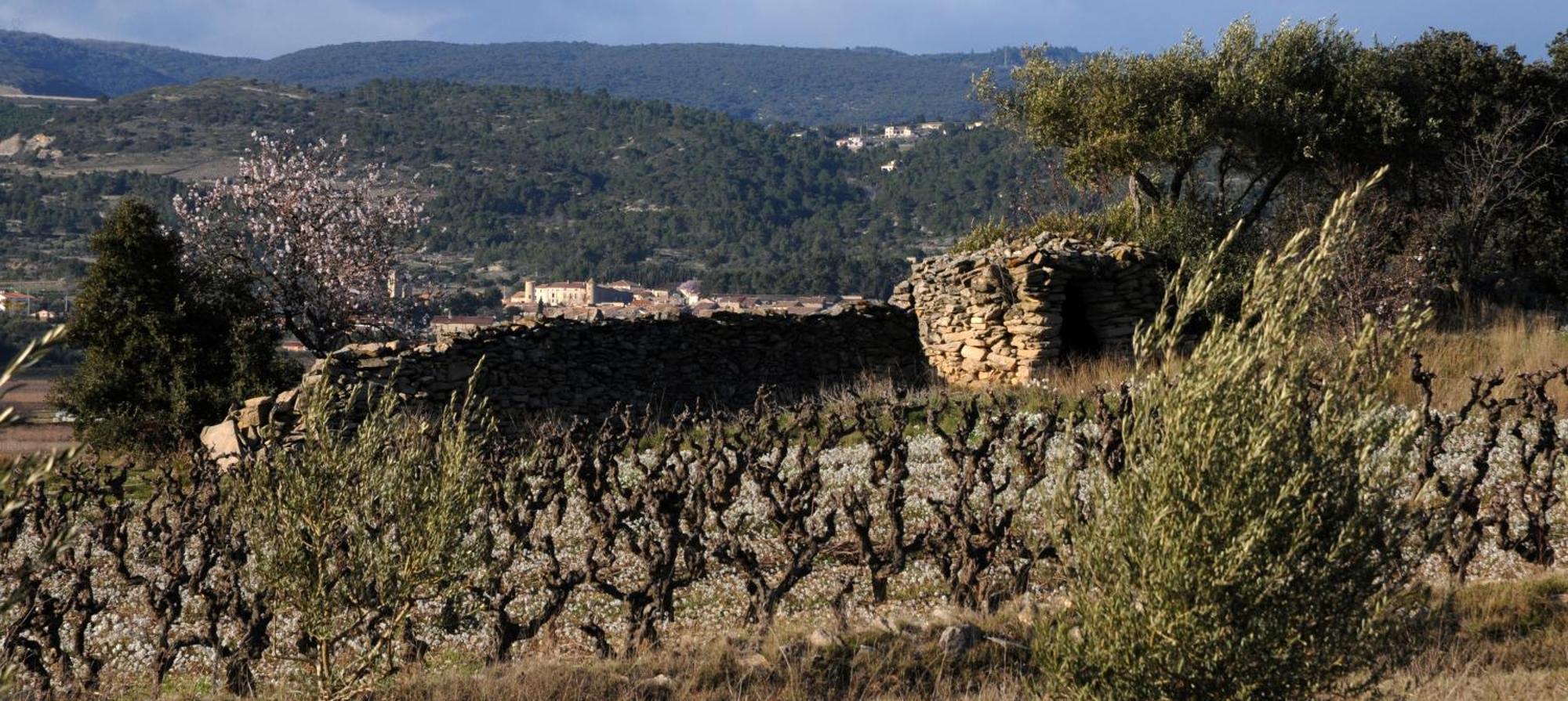 Maison Vigneronne De Bonne Maman - Climatisee Cesseras Εξωτερικό φωτογραφία